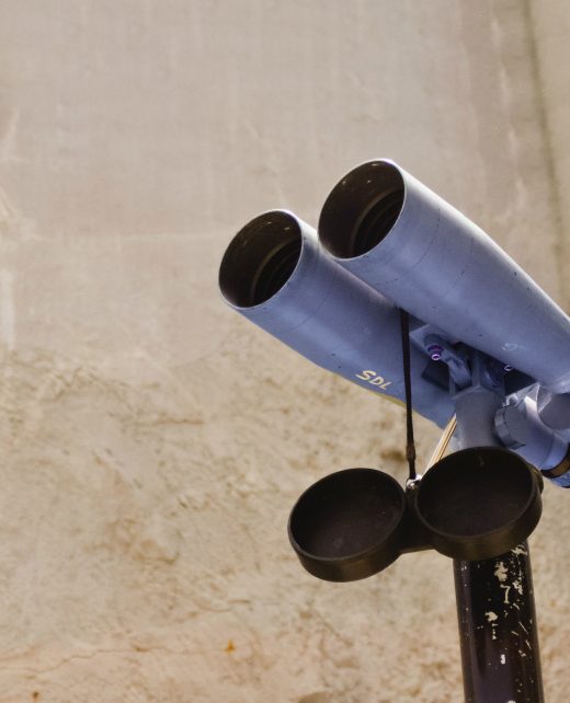 pexels-scott-r-296370