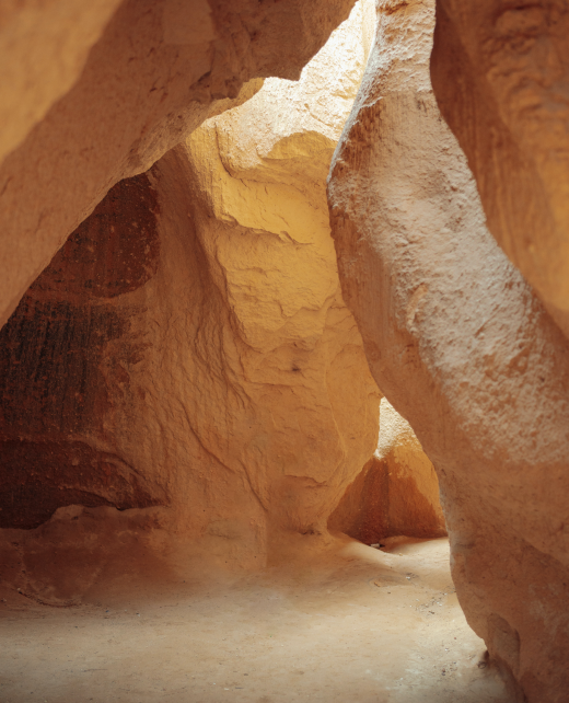 pexels-tahir-osman-16960228